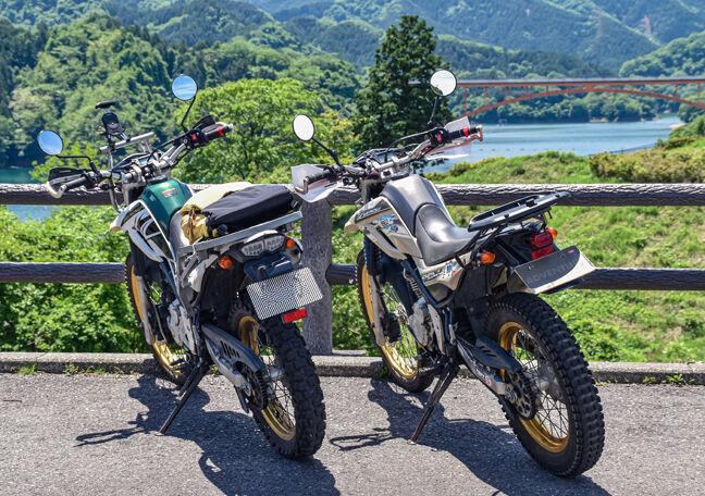 NAONAOさま専用おまとめ　レア★フェントン　グリーン　コインドットタンブラー K2364.JPG