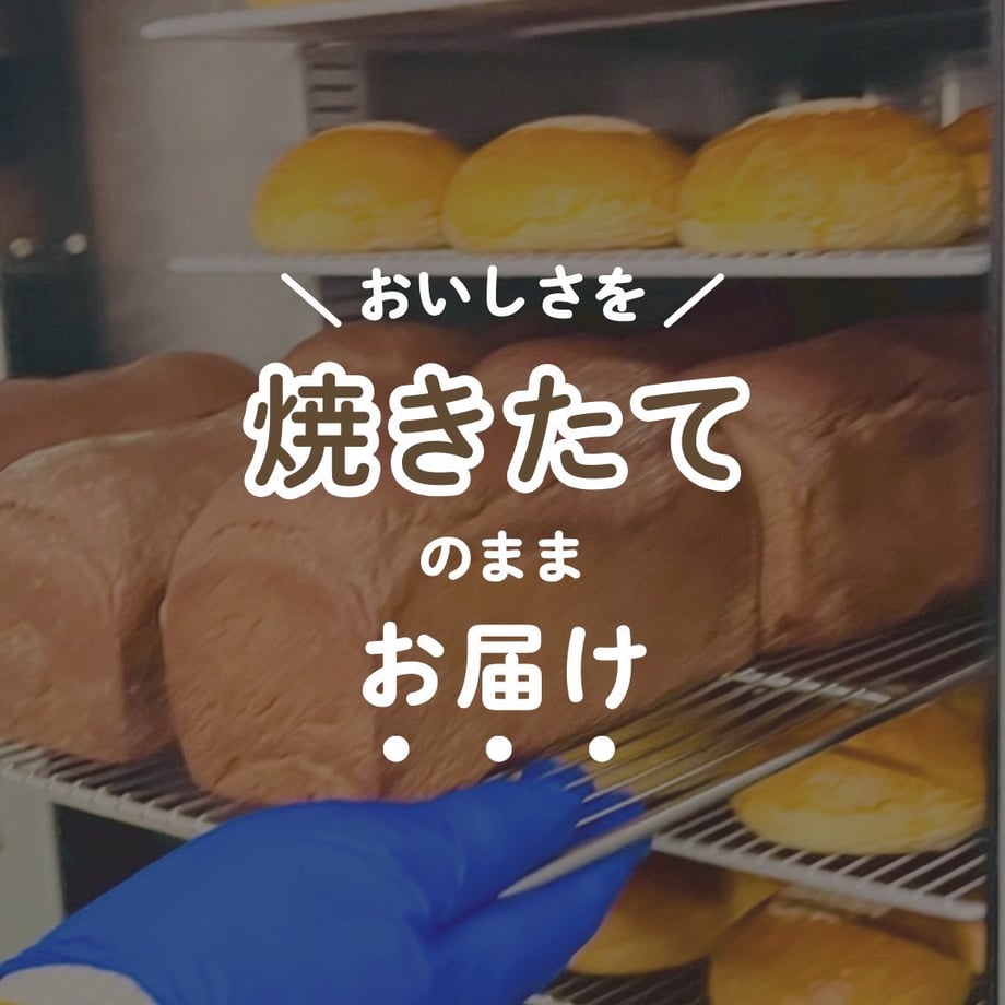 68339fb3fd5b07004b4f8de1