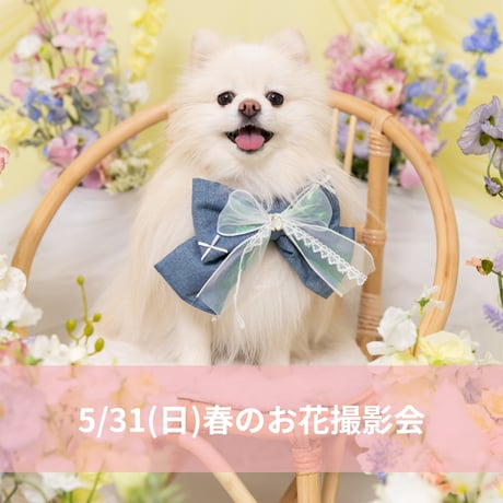 5/31(日)春のお花撮影会