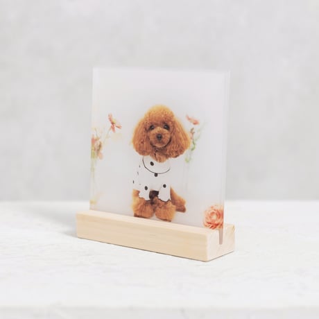 アクリルパネル150木製スタンド(ナチュラル)