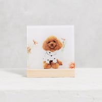 アクリルパネル150木製スタンド(ナチュラル)