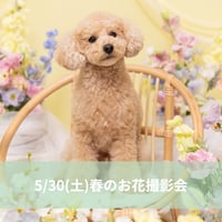 5/30(土)春のお花撮影会