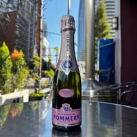 SALON BRUT BLANC DE BLANC 2013/サロン ブリュット ブラン・ド・