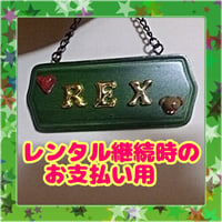 レンタル費用　3520円