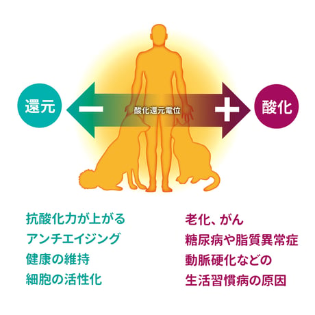 触れると体内が還元する フレルート マドラー