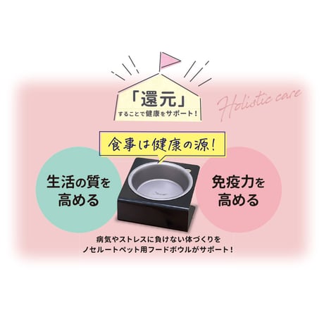 ノセルート チタン製　ペット用フードボウル　non-slip