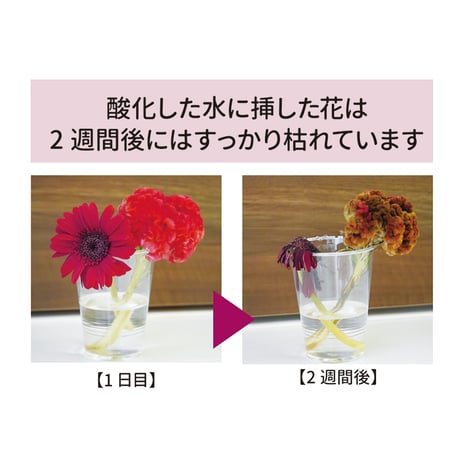 触れると体内が還元する フレルート マドラー