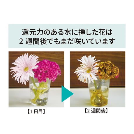 触れると体内が還元する フレルート マドラー