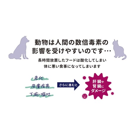 ノセルート チタン製　ペット用フードボウル　non-slip