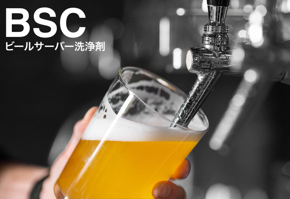 BSC STORE