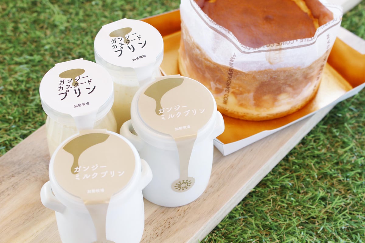 WEB限定カラー fit=scale-down,w=1200 食器