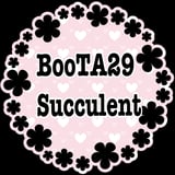 BooTA29♡Succulent 