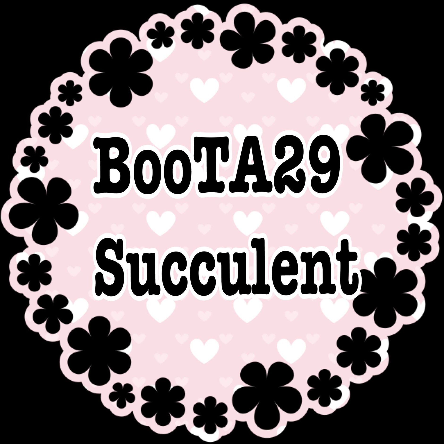 BooTA29♡Succulent 