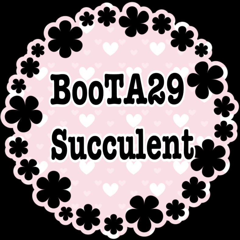 CATEGORY 多肉植物 | BooTA29♡Succulent