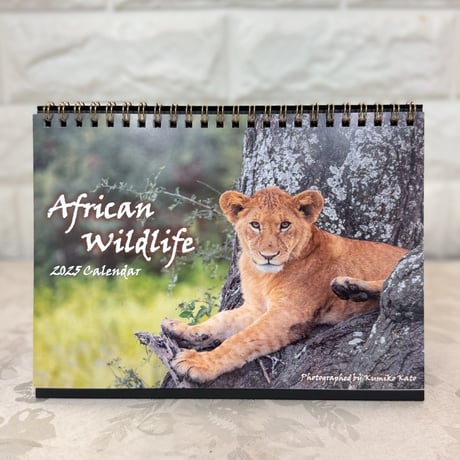 African Wildlife 2025 Calendar （Ａタイプ/卓上カレンダー）