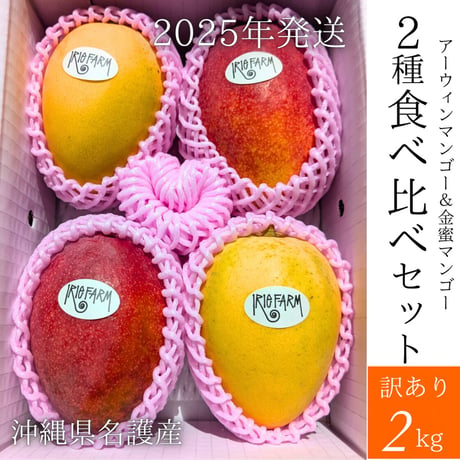 アイリーマンゴー | STORES