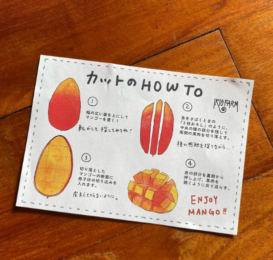 プレミアムアイリーマンゴー 食べ比べセット | KoNoMi's Store