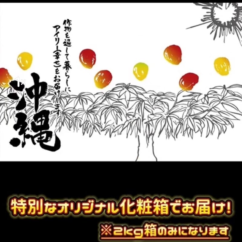 プレミアムアイリーマンゴー 食べ比べセット | KoNoMi's Store