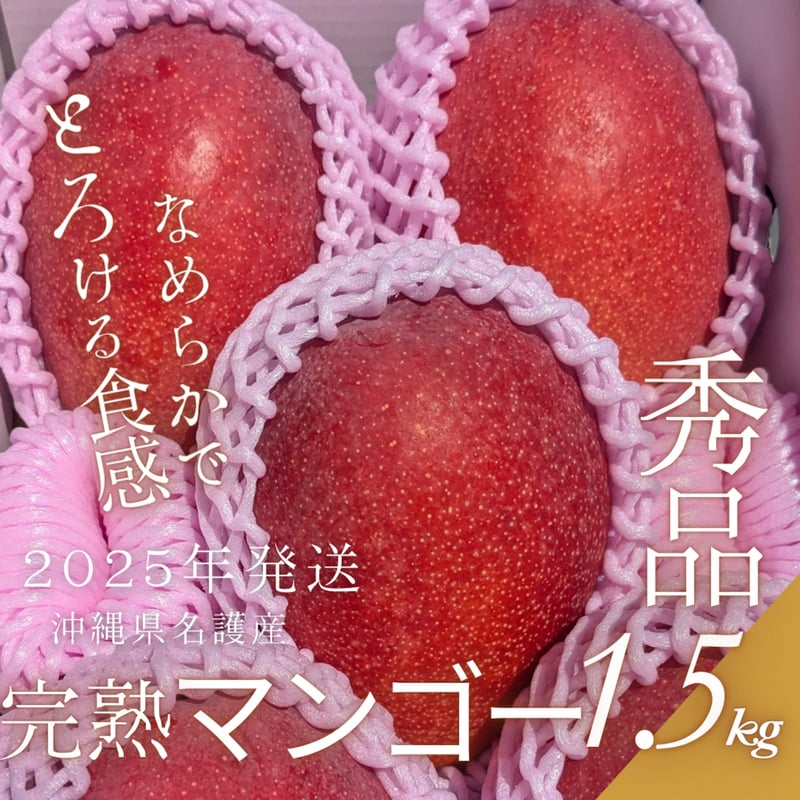 プレミアムアイリーマンゴー アーウィン | KoNoMi's Store