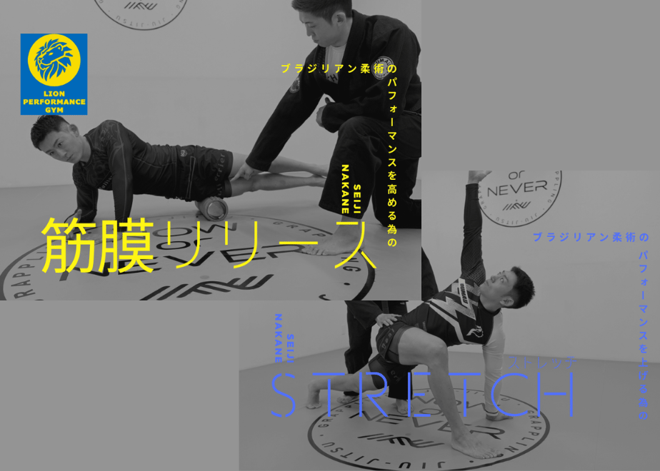 69f072a68fb59e19dd7454e4