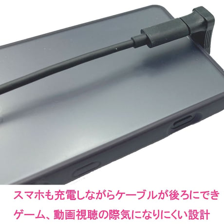 エスエスエーサービス TYPE-C コの字 変換 コネクタ PD100W対応 QC3.0 急速充電対応 最新iPadOS17対応 充電 転送対応 STCM-TCFU