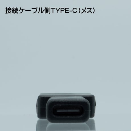 お得な2個セット WALKMAN 充電・転送対応 変換アダプタ コネクタ WMポート（オス ）USB2.0Type-C（メス）STCF-WKM-2P エスエスエーサービス