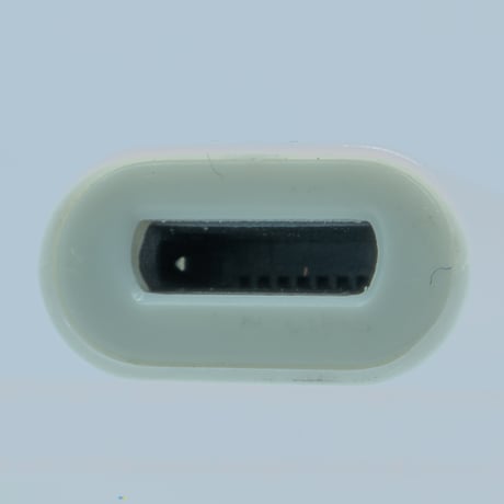 スマホ タブレット パソコンType-C(オス)-Lightningコネクタ イヤホンマイク 変換コネクタ iPhone15/16対応 エスエスエーサービス STCM-LEMF