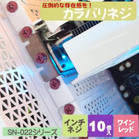 カラバリネジ 十字穴付き六角インチネジ ワインレッド パソコン 電源 I/Oパネル マザーボード固定 グラフィックカード固定 エスエスエーサービス SN-022WR