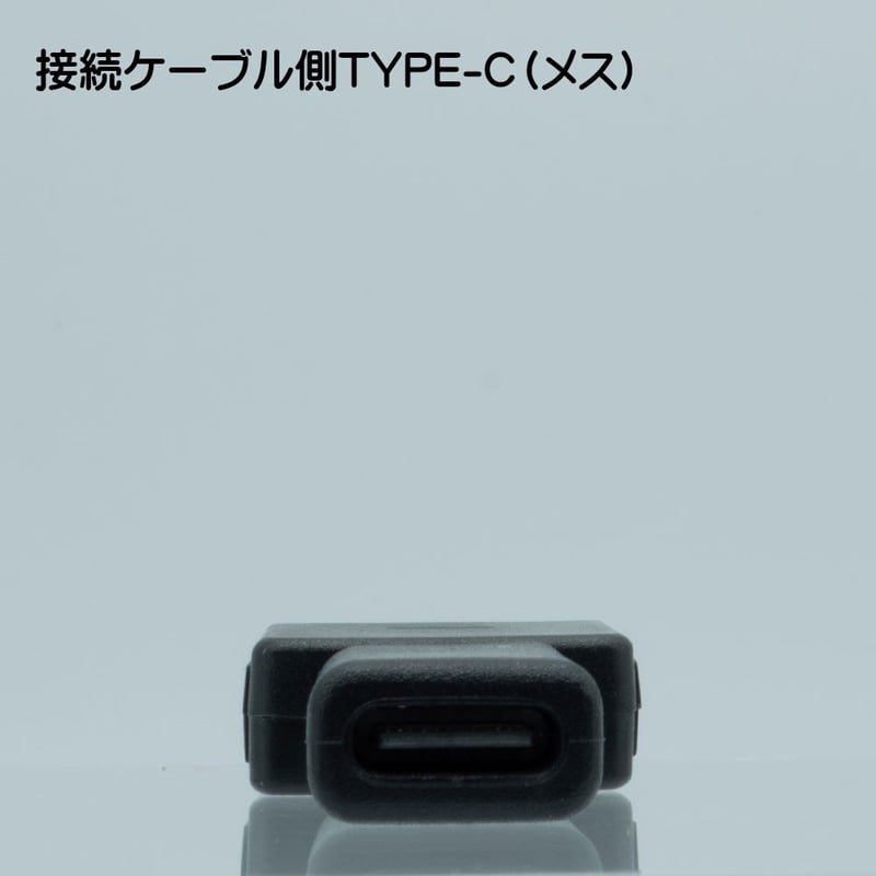 WALKMAN 充電・転送対応 変換アダプタ コネクタ WMポート（オス ）USB2