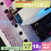 カラバリネジ 十字穴付き六角インチネジ ブラック パソコン 電源 I/Oパネル マザーボード固定 グラフィックカード固定 エスエスエーサービス SN-022BK