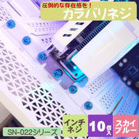 カラバリネジ 十字穴付き六角インチネジ スカイブルー パソコン 電源 I/Oパネル マザーボード固定 グラフィックカード固定 エスエスエーサービス SN-022SB