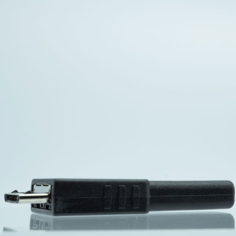 WALKMAN 充電・転送対応 変換アダプタ コネクタ WMポート（オス ）USB2