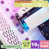 カラバリネジ 十字穴付き六角インチネジ パープル パソコン 電源 I/Oパネル マザーボード固定 グラフィックカード固定 エスエスエーサービス SN-022PP