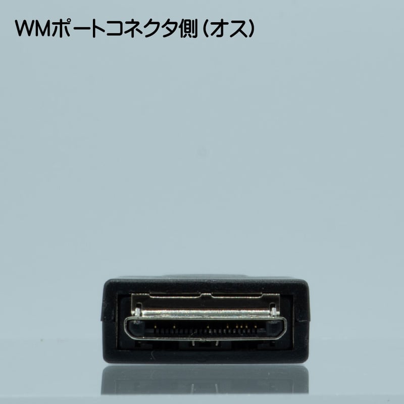 WALKMAN 充電・転送対応 変換アダプタ コネクタ WMポート（オス ）USB2