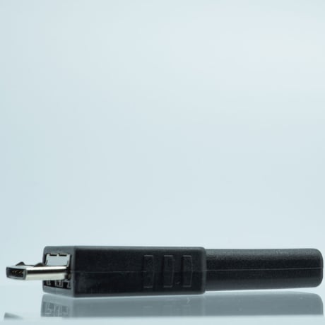 お得な2個セット WALKMAN 充電・転送対応 変換アダプタ コネクタ WMポート（オス ）USB2.0Type-C（メス）STCF-WKM-2P エスエスエーサービス