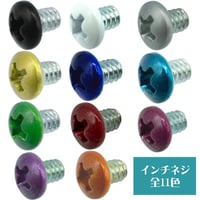 お徳用 カラバリネジ なべ インチタイプ ＃6-32 ネジ長約4ｍm マザーボード ドライブ PCケース 固定 20個入 エスエスエーサービス SN-020シリーズ