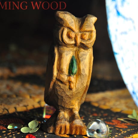 イケメン梟 流木にとまってるようなフクロウ木菟ミミズク