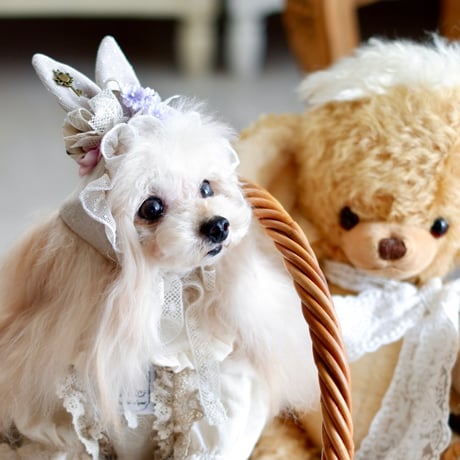 CATEGORY お洋服 | Bouquet de muguet