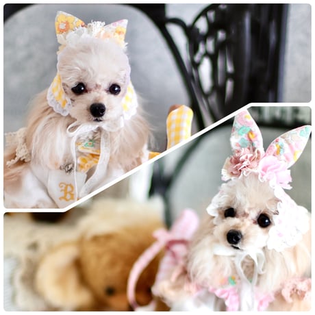 犬服・アクセサリー Bouquet de muguet 𓏲𓈒𓂃ブーケ・ドゥ・ミュゲ𓈒𓂃𓍯 (@_bouquet_de_muguet