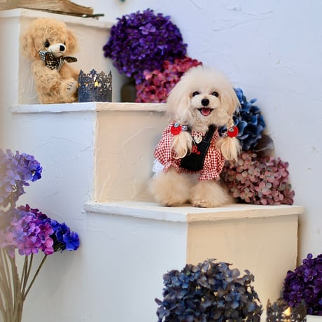 新品☆ ブーケ・ドゥ・ミュゲ　ブラウス CATEGORY お洋服 | Bouquet de muguet