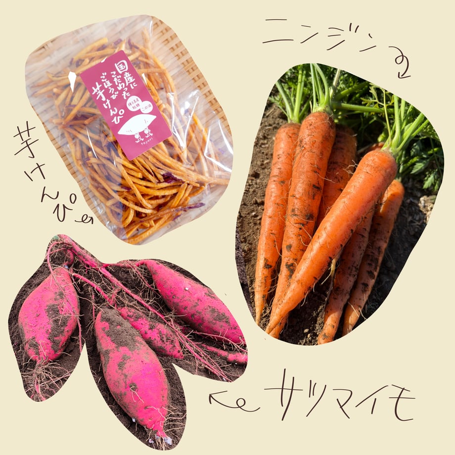 691f1f7befd70e7139034f72
