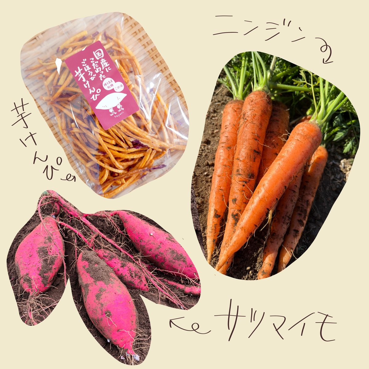 芋けんぴと野菜のセット | 農園 tayori