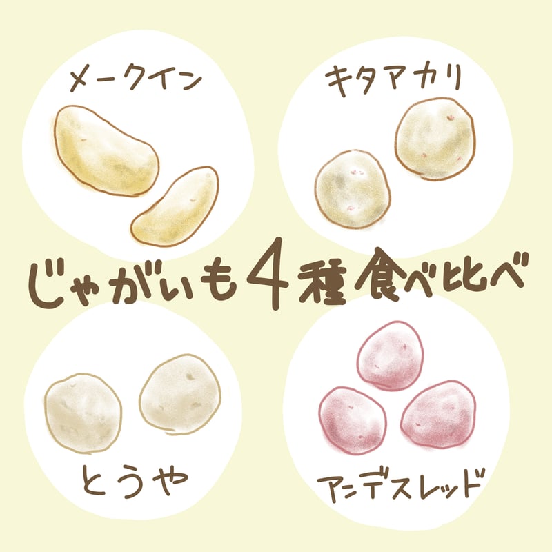 鹿児島産新ジャガイモ2種食べ比べ20kg 掘りたて】種子島産 新