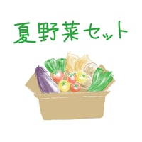原画　夏野菜3枚セット 原画 夏野菜3枚セット 野菜セット[単発]：Sサイズ – 久松農園