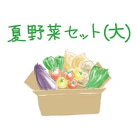 原画　夏野菜3枚セット 違いがわかる主婦の【夏野菜 Mセット】：長野県産の野菜セット