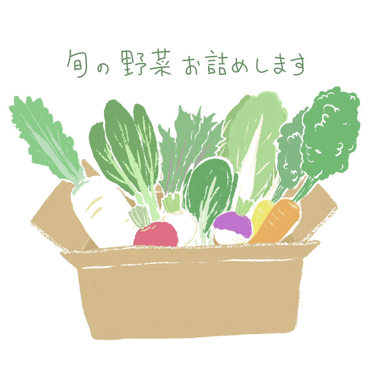 野菜セット農薬不使用80サイズ - 野菜