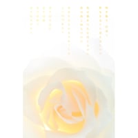 咲き誇る（はがき）