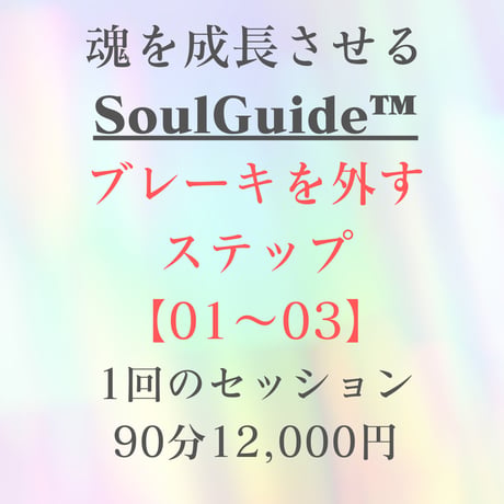 【会員専用】SoulGuide®セッション［ブレーキを外す］