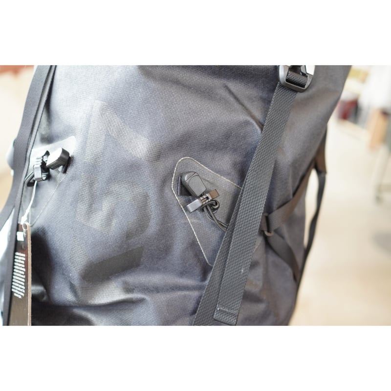 こはく パグ $_57.JPG?set_id=880000500F