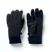 SWANY | Alpine Thermal Shel Glove GTX (TR-902)